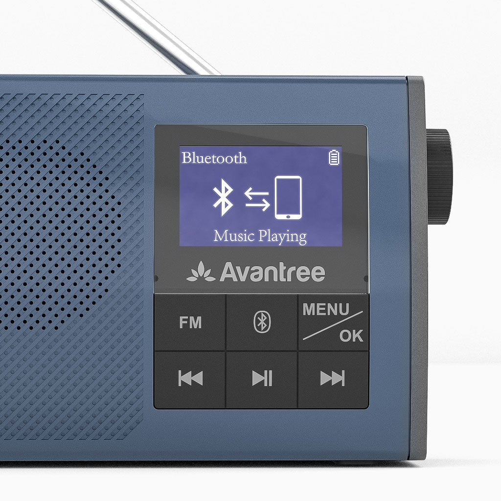 Audikast 4860 | Bluetooth TV Transmitter & Speaker/FM Radio Set