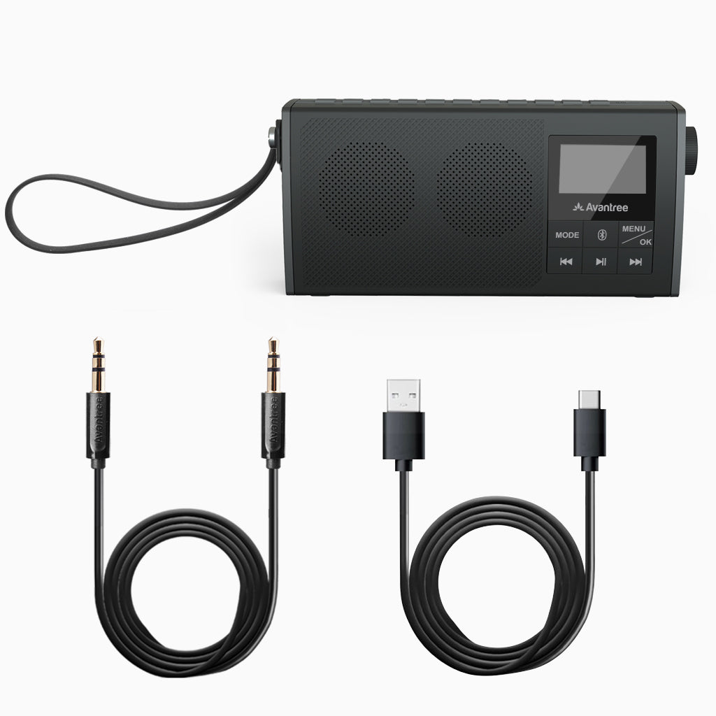 Soundbyte 860s | BT5.0 Portable Radio Speaker