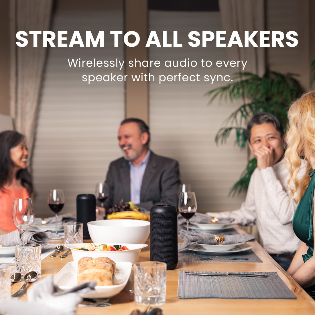 Harmony 2 | Wireless Multi-Room Speaker System for Home & Office
