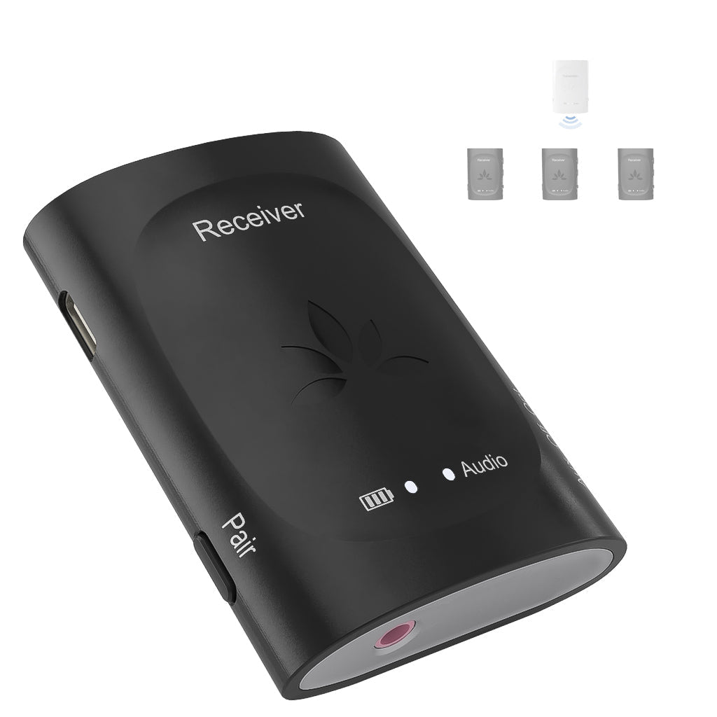 Receiver for Audiplex (Not for Audiplex M3 or MX)