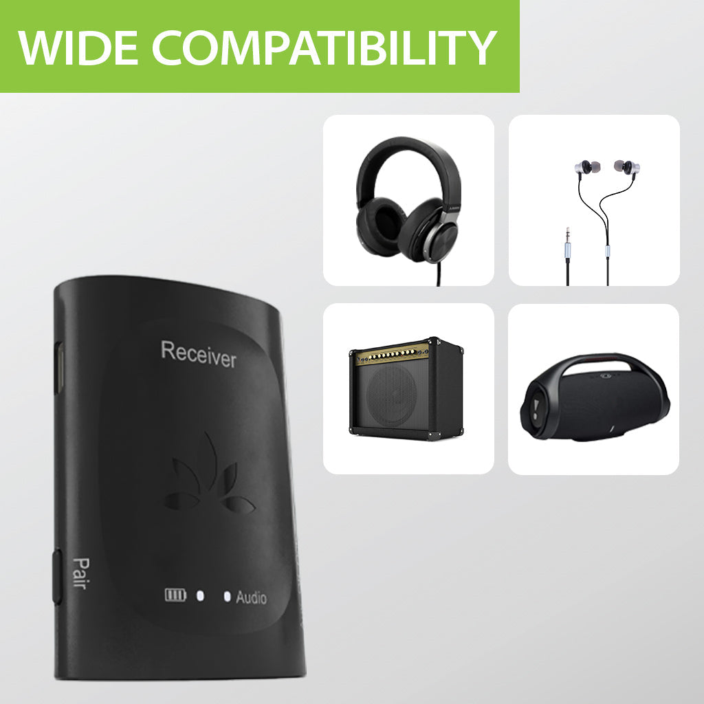 Receiver for Audiplex (Not for Audiplex M3 or MX)