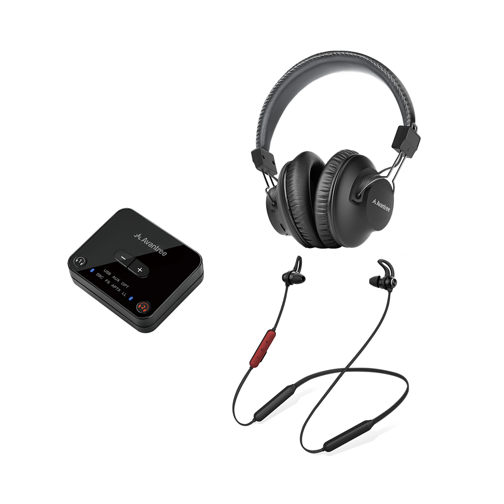 D4169 | Dual Wireless Headphones for TV