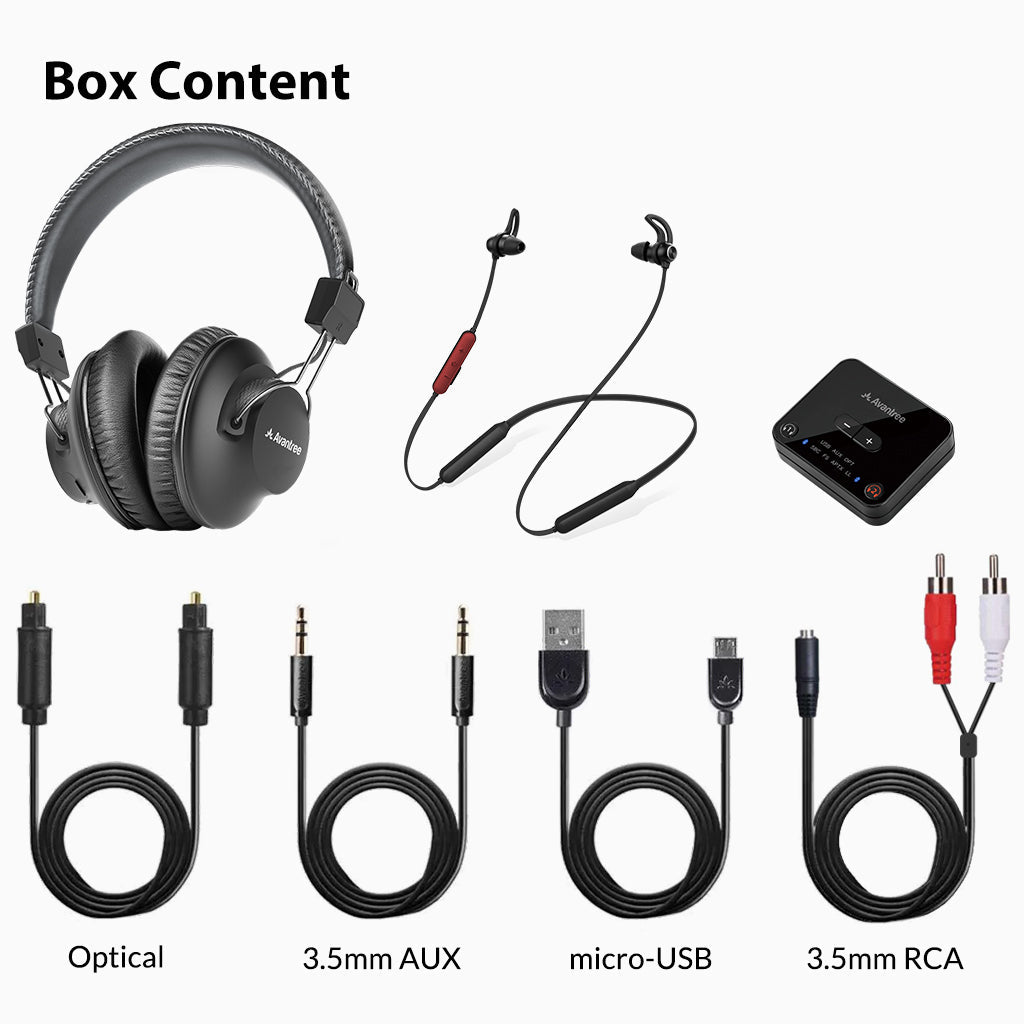 D4169 | Dual Wireless Headphones for TV