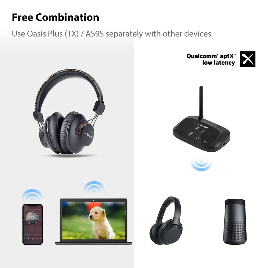 HT5009 | Wireless Headpones for TV with Transmitter
